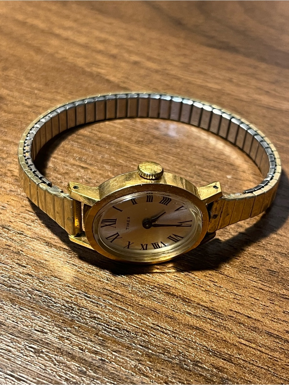 Vintage Timex Watch